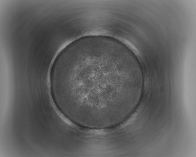 X0000113280990200909280948