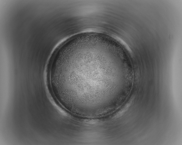 X0000113280991200909280948