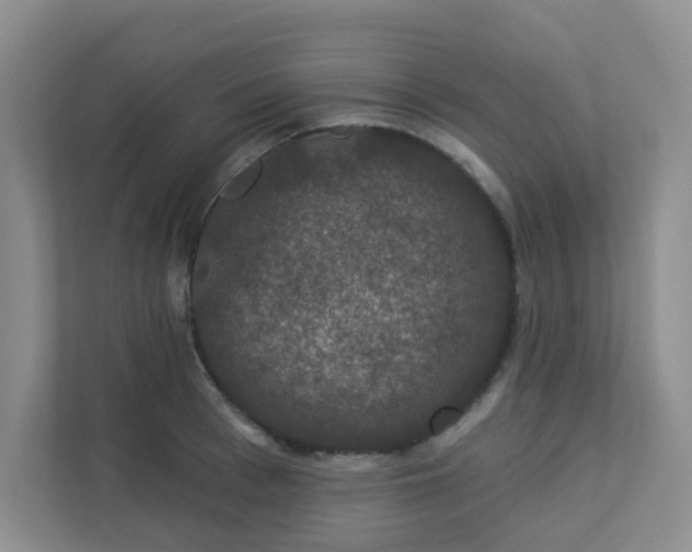 X0000113280993200909280948