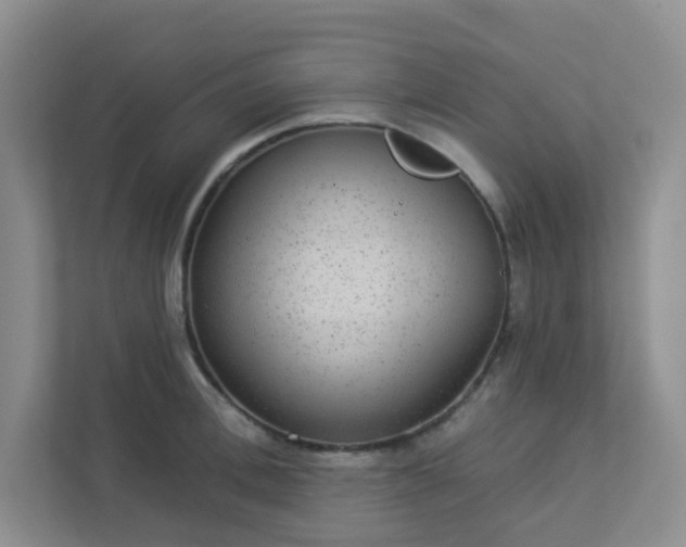 X0000113280996200909280948