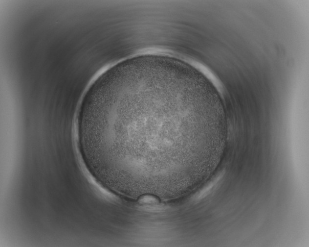 X0000113280999200909280948