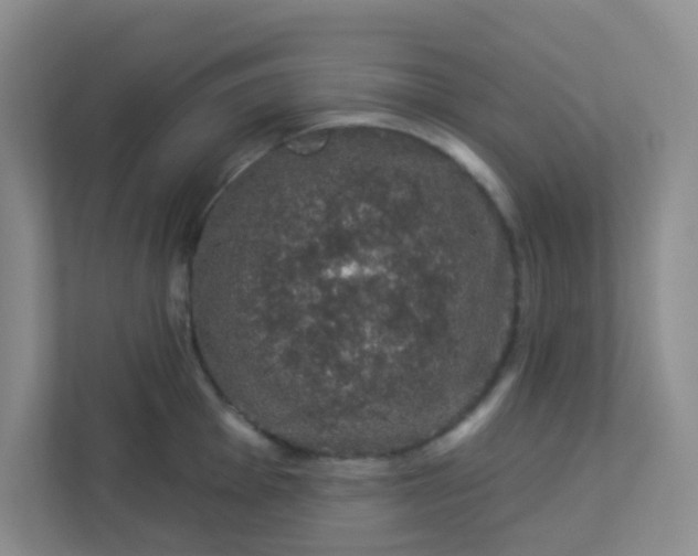 X0000113281001200909280948