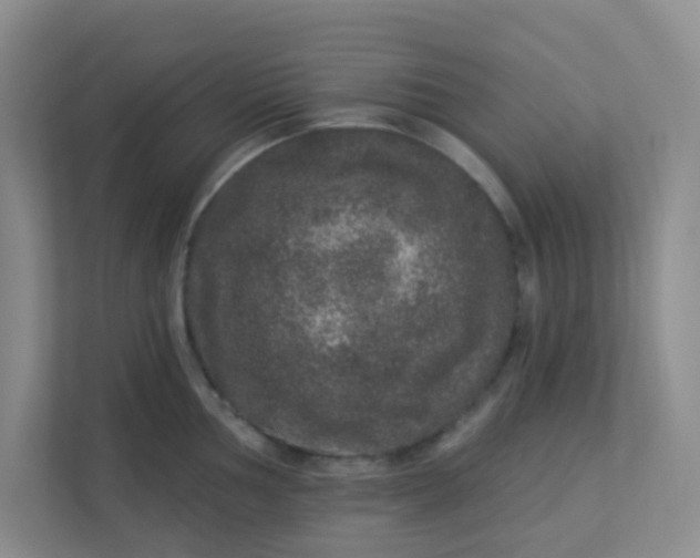 X0000113281002200909280948