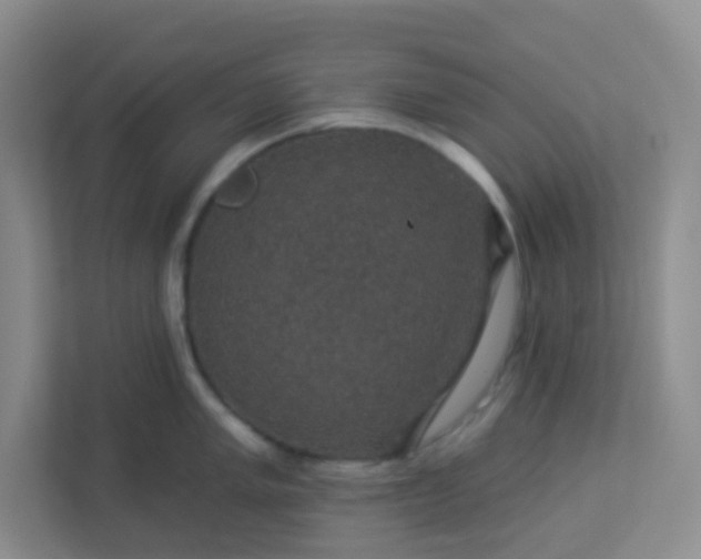 X0000113281005200909280948