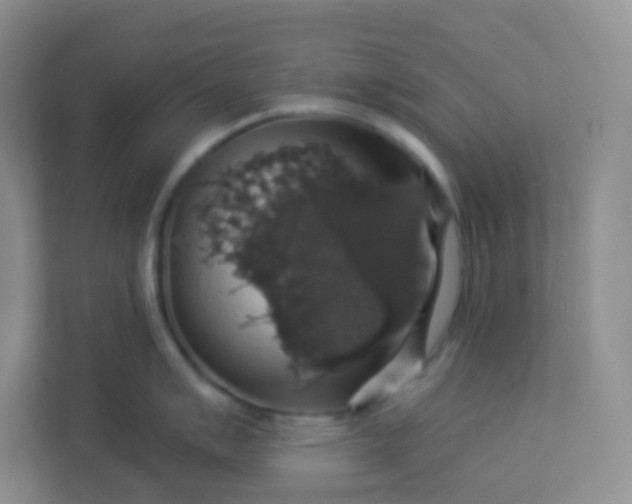 X0000113281007200909280948