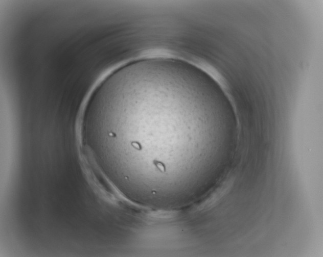 X0000113281008200909280948