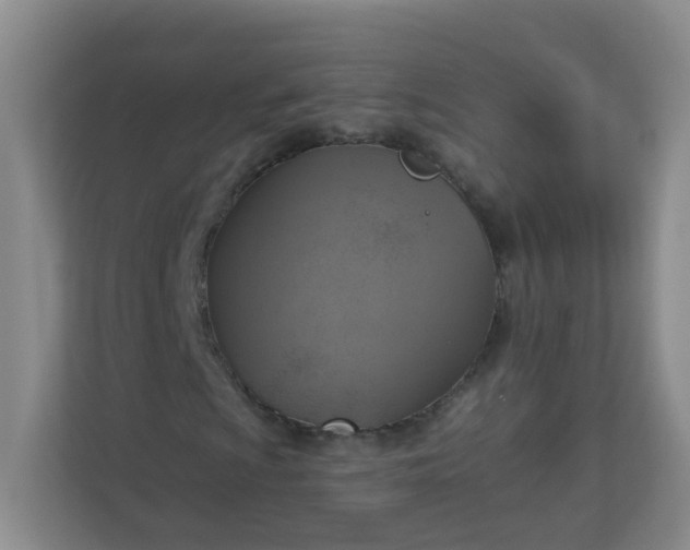 X0000113281009200909280947