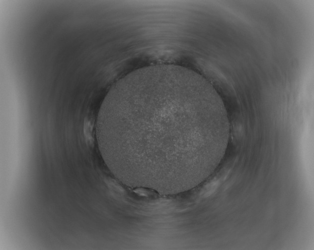 X0000113281010200909280947