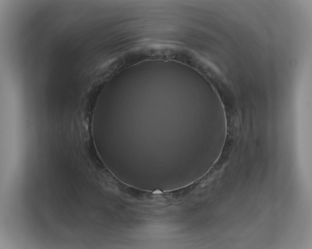 X0000113281013200909280947