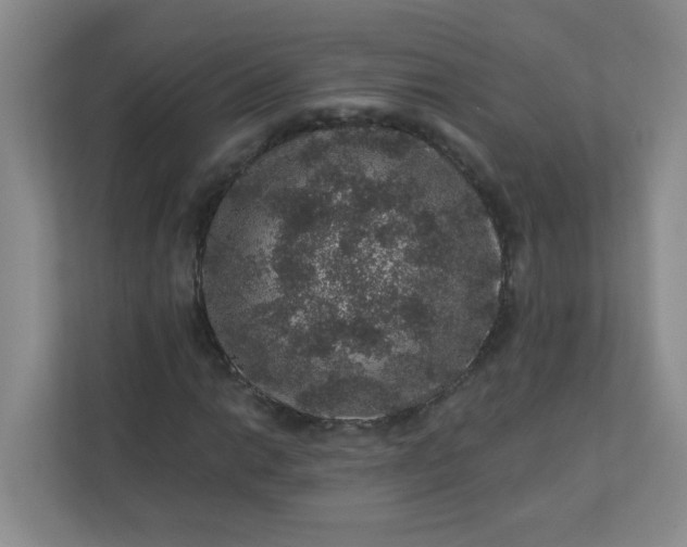 X0000113281014200909280947