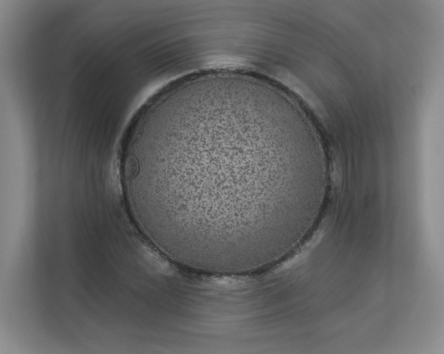 X0000113281022200909280947