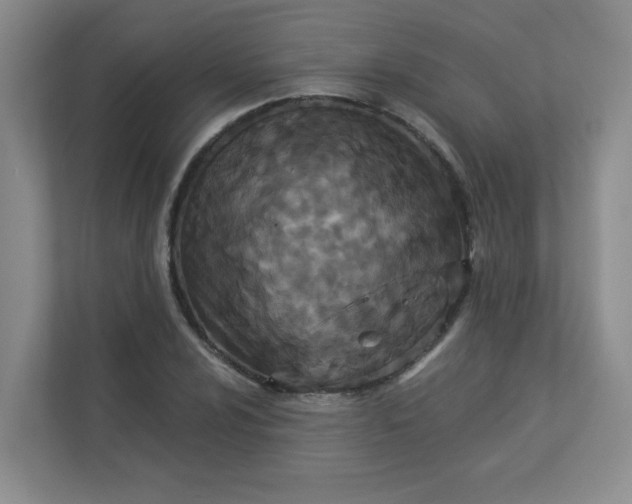 X0000113281024200909280948