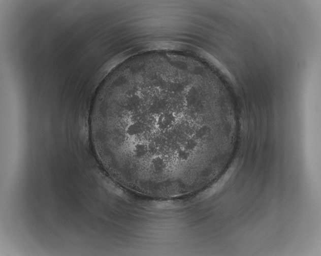 X0000113281025200909280948