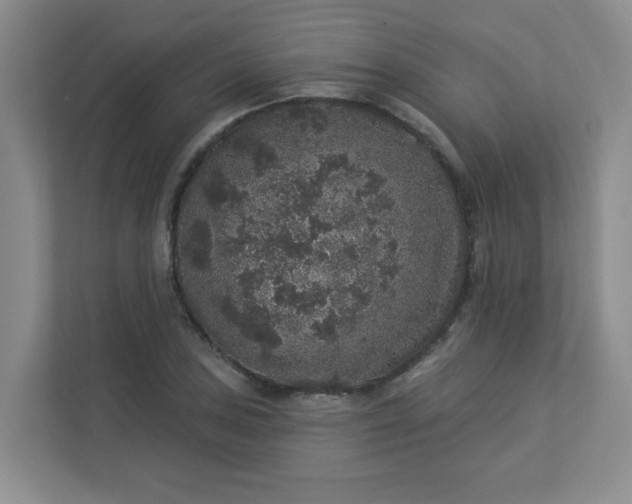 X0000113281027200909280948