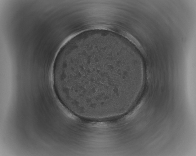 X0000113281028200909280948