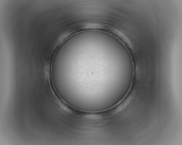 X0000113281033200909280948