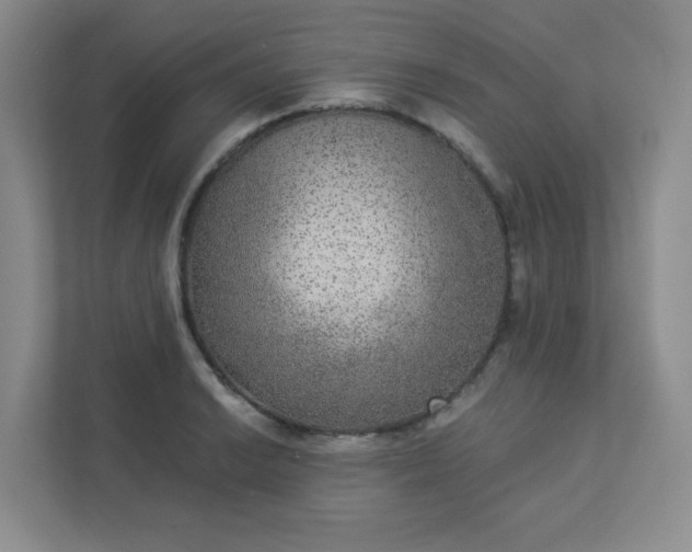 X0000113281038200909280948