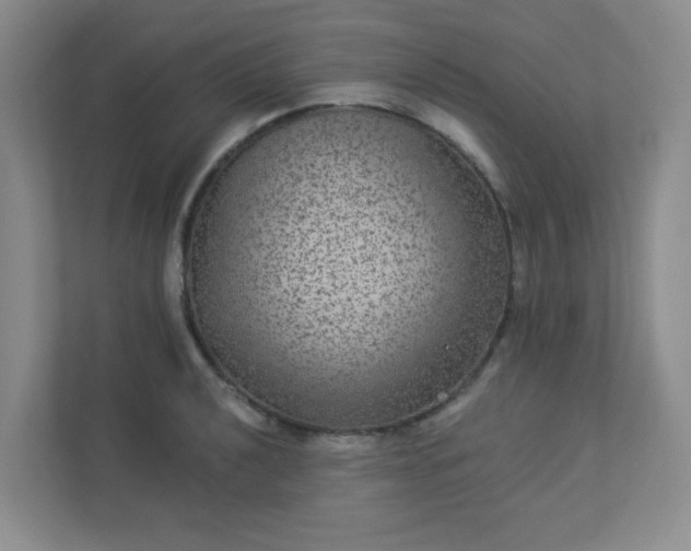 X0000113281040200909280948