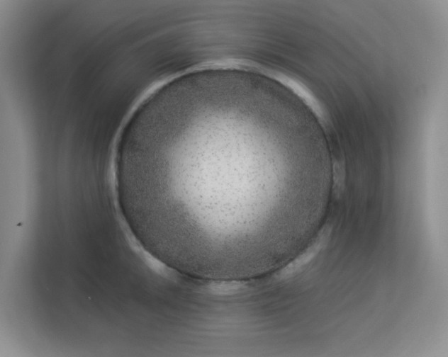 X0000113281046200909280948