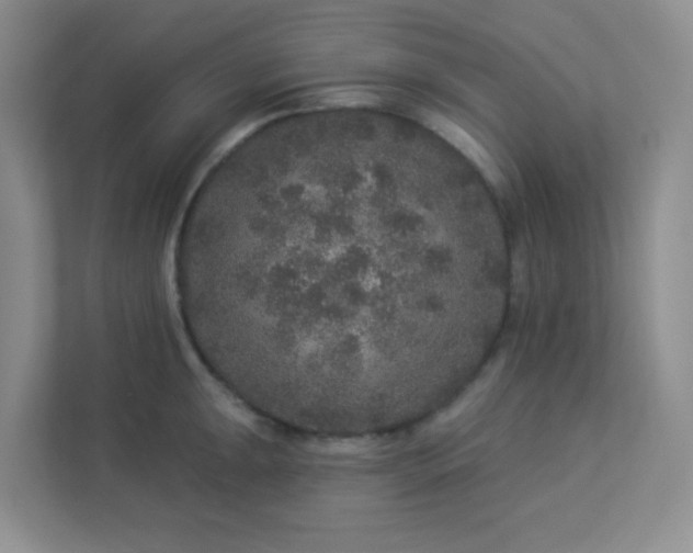 X0000113281047200909280948