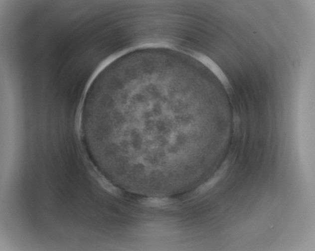 X0000113281052200909280948