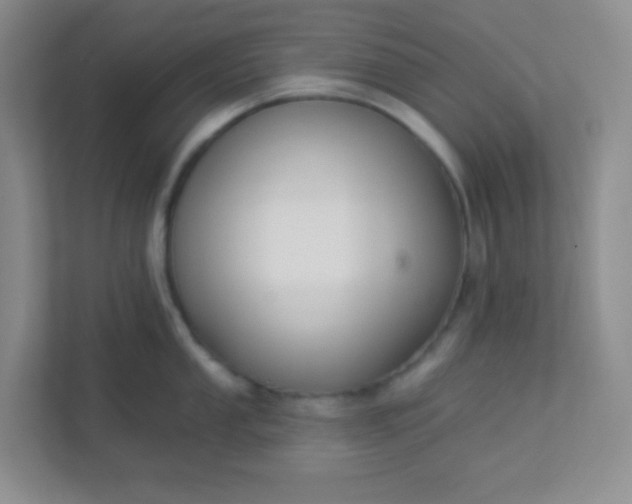 X0000113281053200909280948