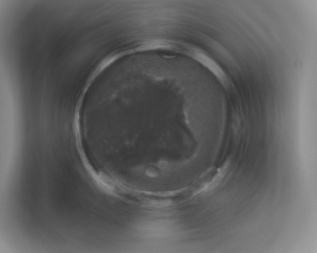 X0000113281055200909280948