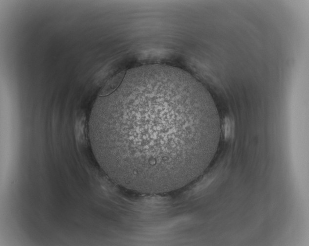 X0000113281059200909280947