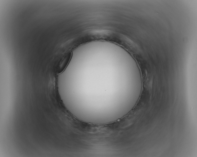 X0000113281061200909280947