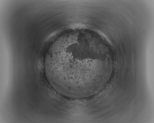 X0000113281063200909280947