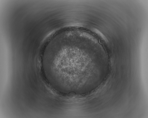 X0000113281064200909280947