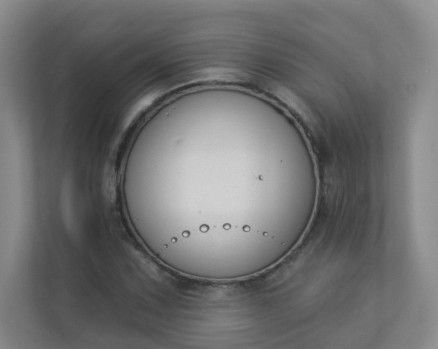 X0000113281067200909280947