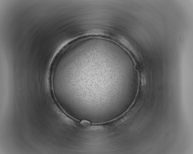 X0000113281068200909280947