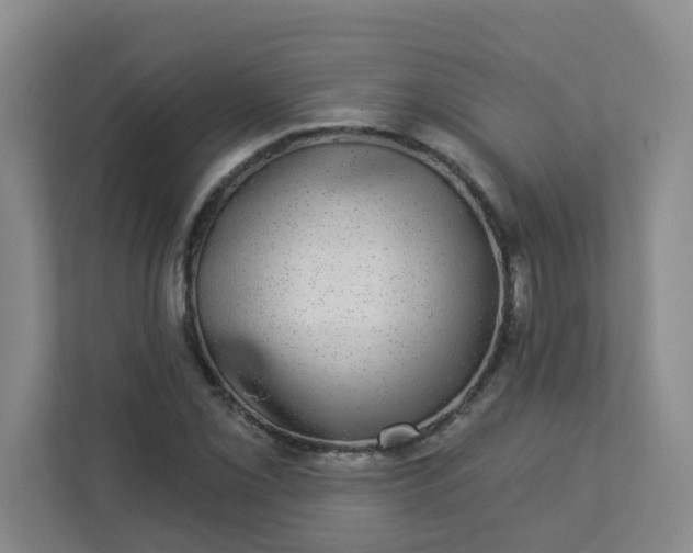 X0000113281069200909280947