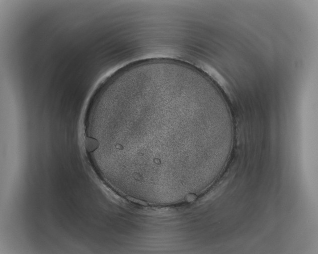 X0000113281072200909280947