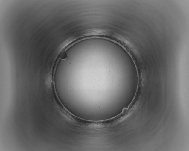 X0000113281073200909280947