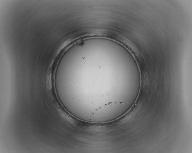 X0000113281075200909280947