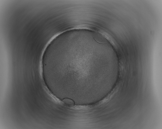 X0000113281076200909280947