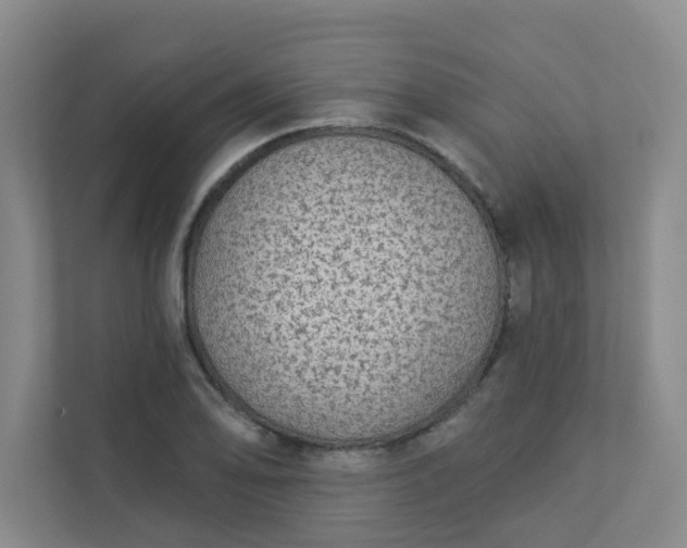 X0000113281078200909280947