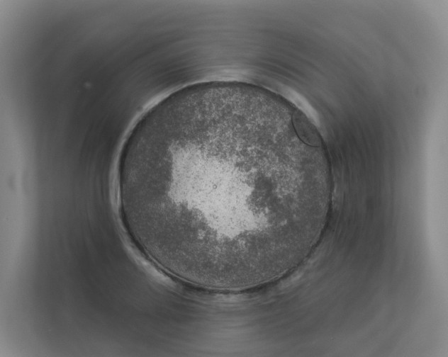 X0000113281080200909280947