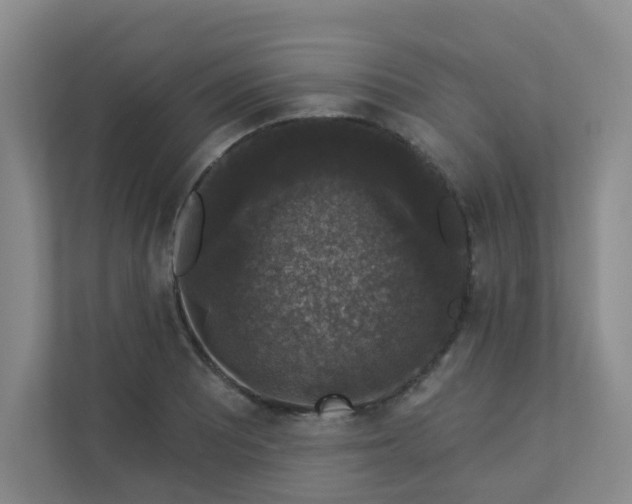 X0000113281081200909280947