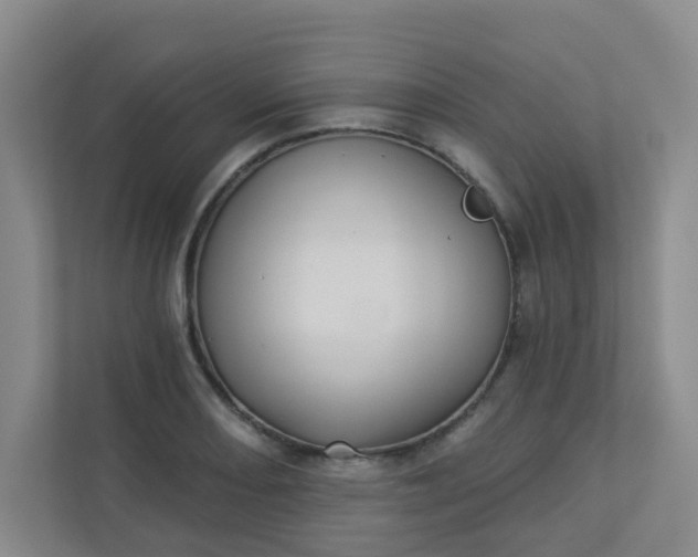 X0000113281082200909280947