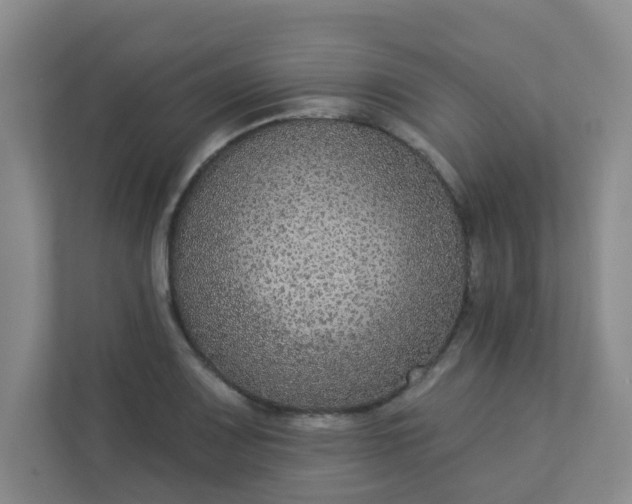 X0000113281083200909280947