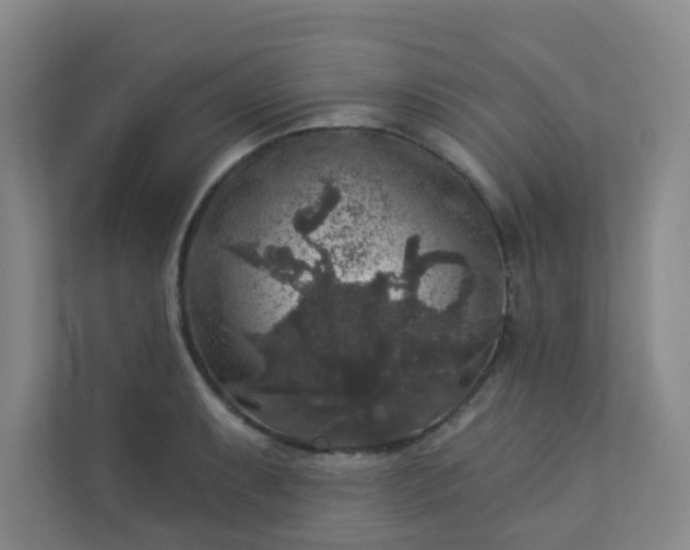 X0000113281087200909280947