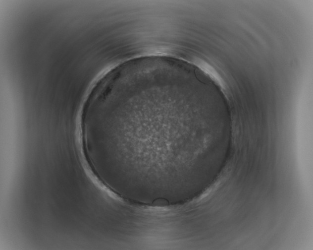 X0000113281088200909280947