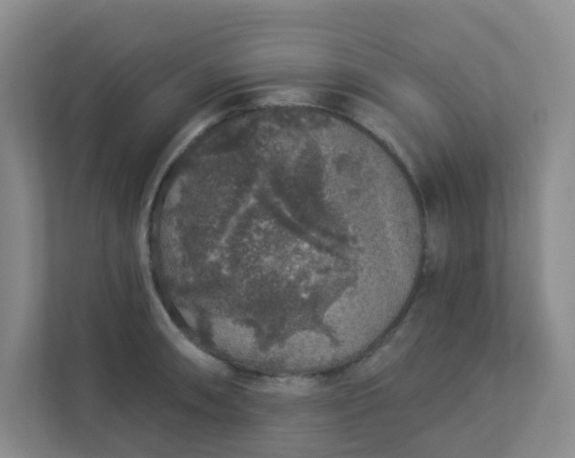 X0000113281090200909280947