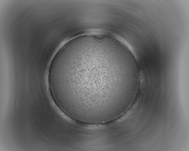 X0000113281091200909280947