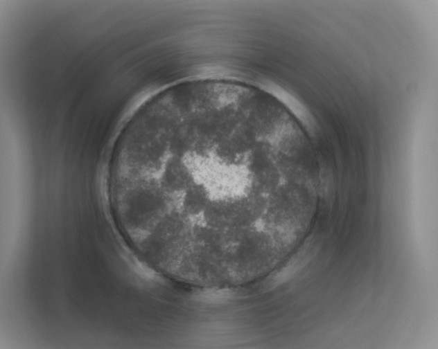 X0000113281094200909280947