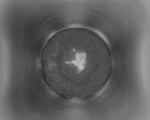 X0000113281097200909280947