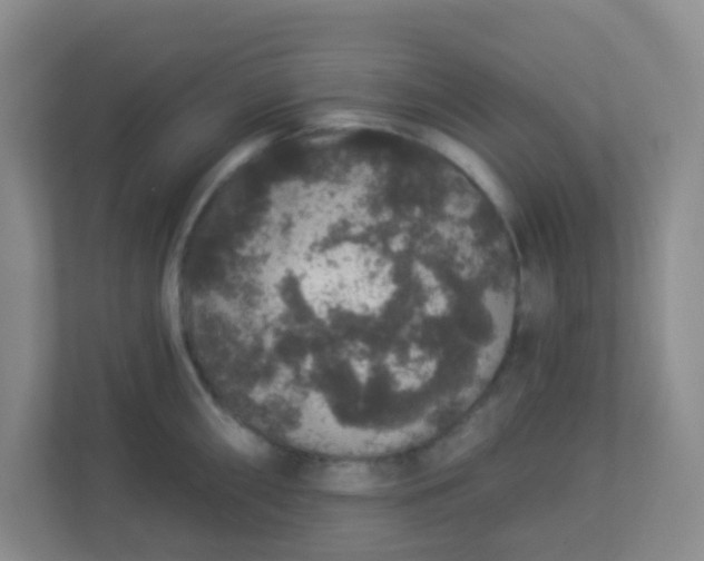 X0000113281098200909280947